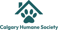 CHS 2022 Logo 200 width