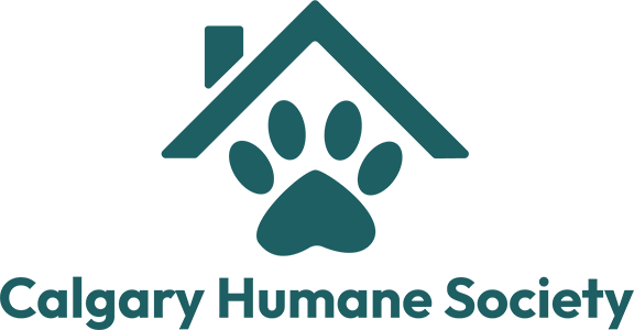CHS 2022 Logo 300 height